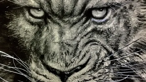 NBA专栏：胜负总分详情解析