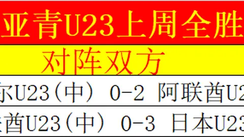 王思雨与智能机器狗同框 WCBA全明星赛